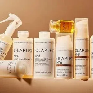 olaplex wholesale
